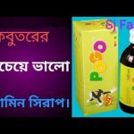 Pogo Syrup-এর উপকারিতা কবুতরের জন্য