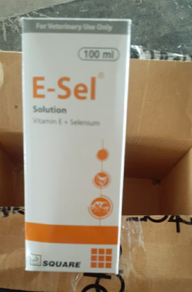 ই-সেল (Vitamin E + Selenium) সাধারণত পোল্ট্রি এবং লেয়ার মুরগির