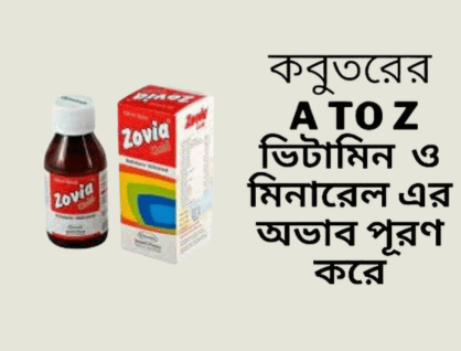কবুতরের ক্ষেত্রে Zovia Gold Syrup-এর সম্ভাব্য উপকারিতা